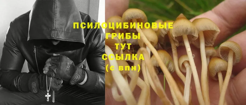 OMG рабочий сайт  Ужур  Псилоцибиновые грибы Psilocybe 